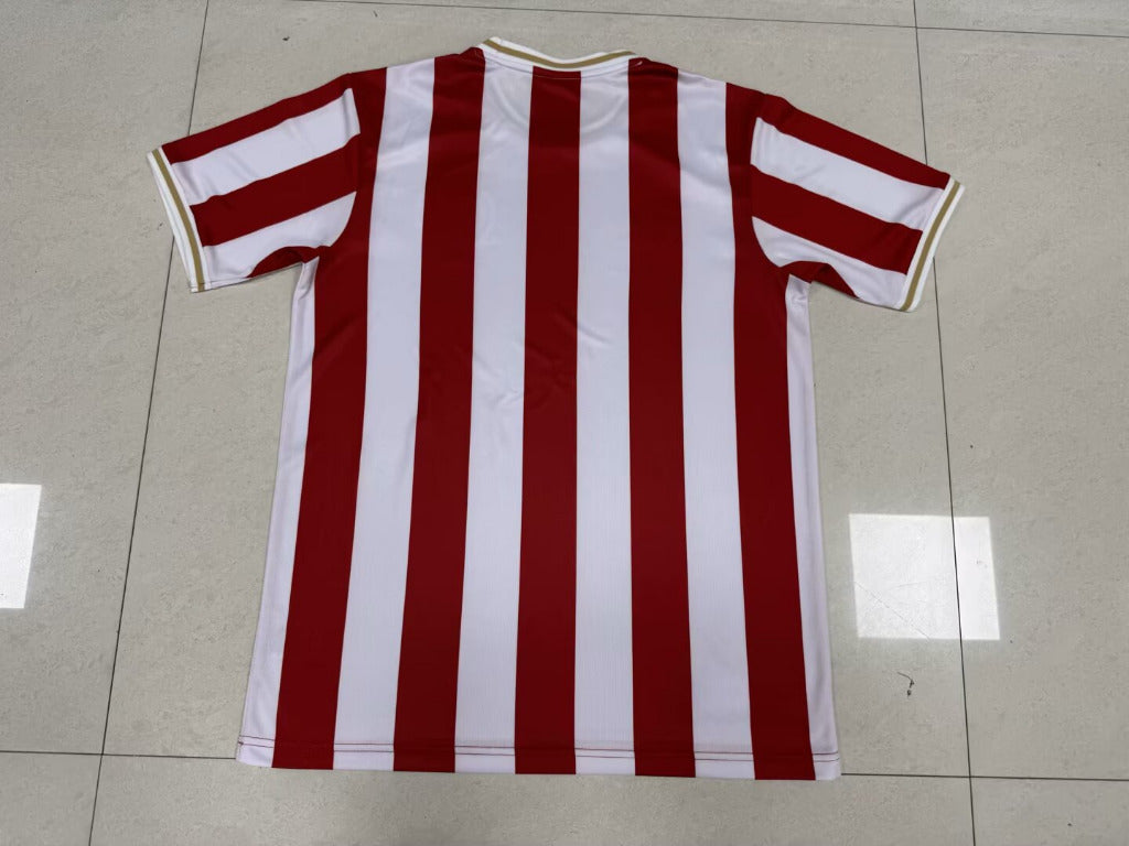 1. FC Nürnberg 25/26 Special Jersey - Concept Kits