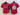 49ers 21/22 Rice #80 Red/White Stripes Women NFL Baseball Style Jersey