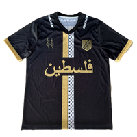 Palestine 2024/25 Special Edition Jersey - Concept Kits