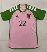 Japan 2022/23 Vintage Retro Special Version Pink Jersey