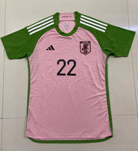 Japan 2022/23 Vintage Retro Special Version Pink Jersey