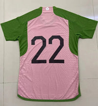 Japan 2022/23 Vintage Retro Special Version Pink Jersey