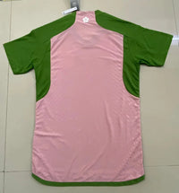 Japan 2022/23 Vintage Retro Special Version Pink Jersey