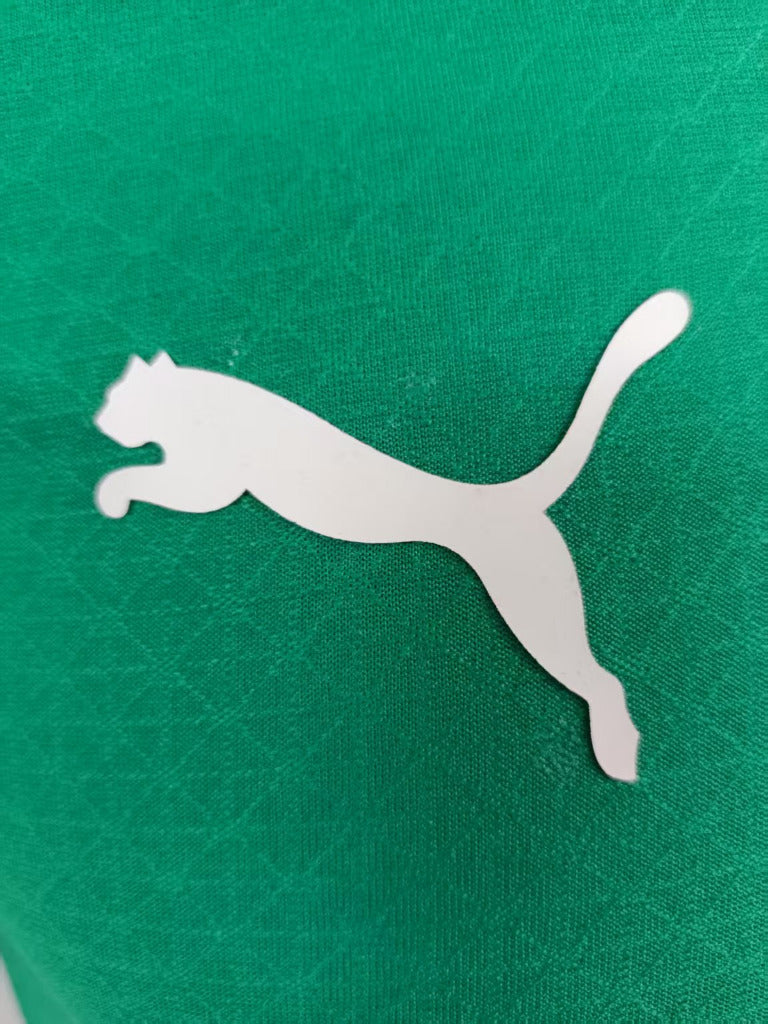 AC Milan 25/26 Green Player Version Jersey