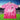 Algeria 25/26 Pink Special Edition Jersey