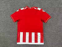 Almeria 25/26 Red/White Stripes Home Jersey