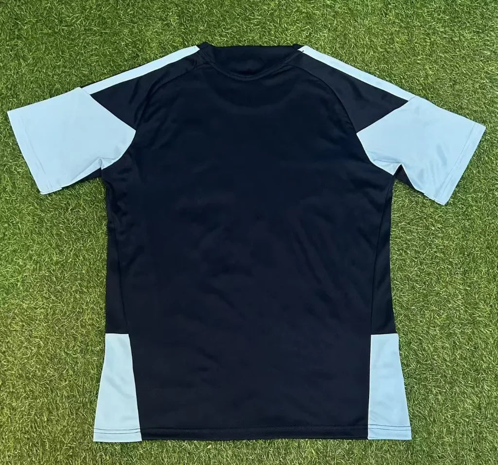 Japan 2026 Blue/White Home Long Sleeves Jersey