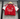 Arsenal 26/27 Red/White Home Women Cropped Jersey