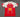 Barcelona 25/26 Red/White Special Edition Jersey