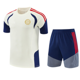 Bayern 26/27 Beige/Blue/Red 3 Stripes Training Kids Jersey Set