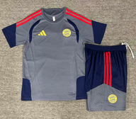 Bayern 26/27 Gray/Blue/Red 3 Stripes Training Kids Jersey Set
