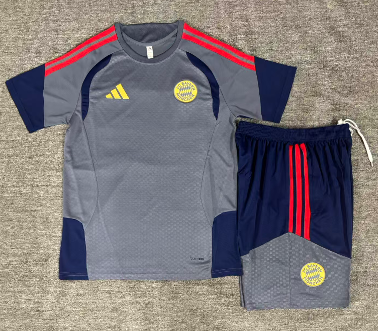 Bayern 26/27 Gray/Blue/Red 3 Stripes Training Kids Jersey Set