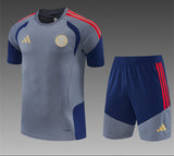 Bayern 26/27 Gray/Blue/Red 3 Stripes Training Kids Jersey Set