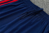 Bayern Munich 26/27 Blue/Navy/Red 3 Stripes Training Sleeve Tracksuit