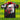 Benfica 2026 Black/Red/White Special Jersey
