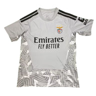 Benfica 26/27 Gray/Black Shoulder Stripes Goalkeeper Jersey
