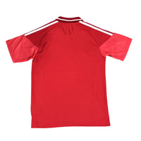 Benfica 26/27 Red/White Shoulder Stripes Polo