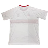 Benfica 26/27 White/Red Shoulder Stripes Travel Jersey