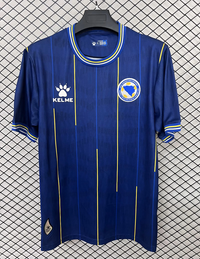 Bosnia and Herzegovina 26/27 World Cup Blue/Yellow Home Jersey
