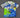 Brazil 25/26 Little Bird Blue Special Version Jersey