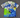 Brazil 25/26 Little Bird Blue Special Version Jersey