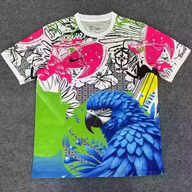 Brazil 25/26 Little Bird Pink Special Version Jersey