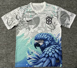 Brazil 25/26 Little Bird Special Version Jersey