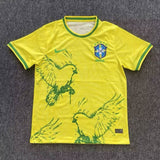 Brazil 25/26 Yellow Canary Bird Special Version Jersey