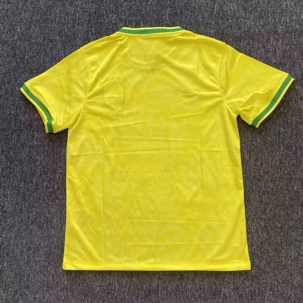 Brazil 25/26 Yellow Canary Bird Special Version Jersey