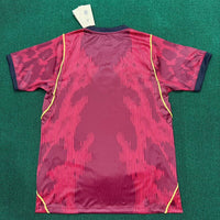 Brazil 26/27 World Cup Red Special Jersey