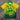 Brazil 26/27 Yellow/Green Special Bravest Studios Mary Jersey