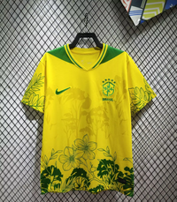 Brazil 26/27 Yellow/Green Special Edition Training Jersey