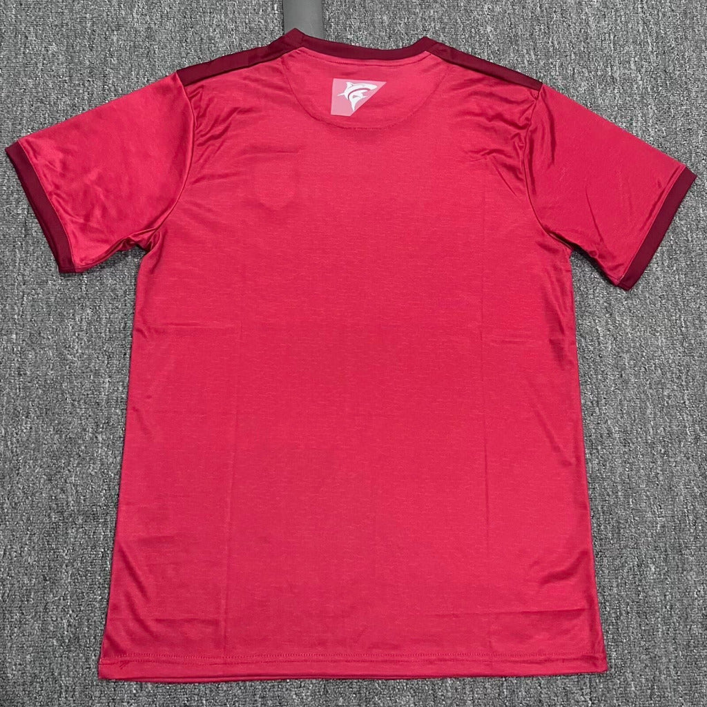 Cape Verde 25/26 Red Third Jersey