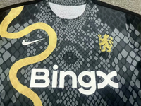 Chelsea 25/26 Special Snake Version Jersey