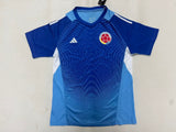 Colombia 2026 World Cup Blue/White Goalkeeper Jersey