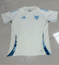 Cruzeiro 25/26 White/Blue Stripe Training Jersey