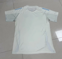 Cruzeiro 25/26 White/Blue Stripe Training Jersey