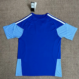 Cruzeiro 26/27 Sky Blue Training Jersey