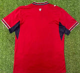 Czech Republic 2026 Red/Navy Home Jersey