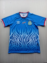 DR Congo 2026 Blue Home Pro Jersey