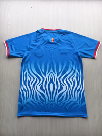 DR Congo 2026 Blue Home Pro Jersey