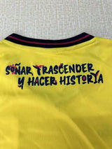 Ecuador 26/27 Yellow/Black Home Jersey