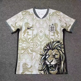 England 2026 Grey/Of-White Lion Graphic Special Version Jersey