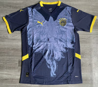 Fenerbahce 25/26 Blue/Yellow Special Jersey