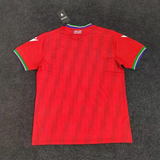 Guinea 26/27 Red/Green/Blue World Cup Home Jersey