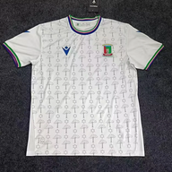 Guinea 26/27 White/Green/Blue World Cup Away Jersey