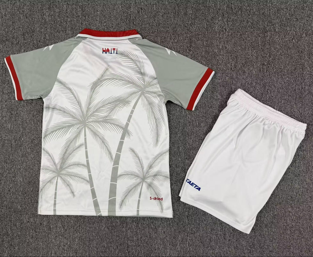 Haiti 2026 World Cup Gray/Red Away Kids Jersey Set