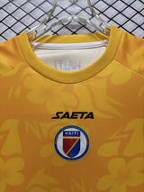 Haiti 2026 World Cup Yellow Goalkeeper Jersey
