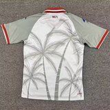 Haiti 26/27 World Cup Gray/Red Away Jersey