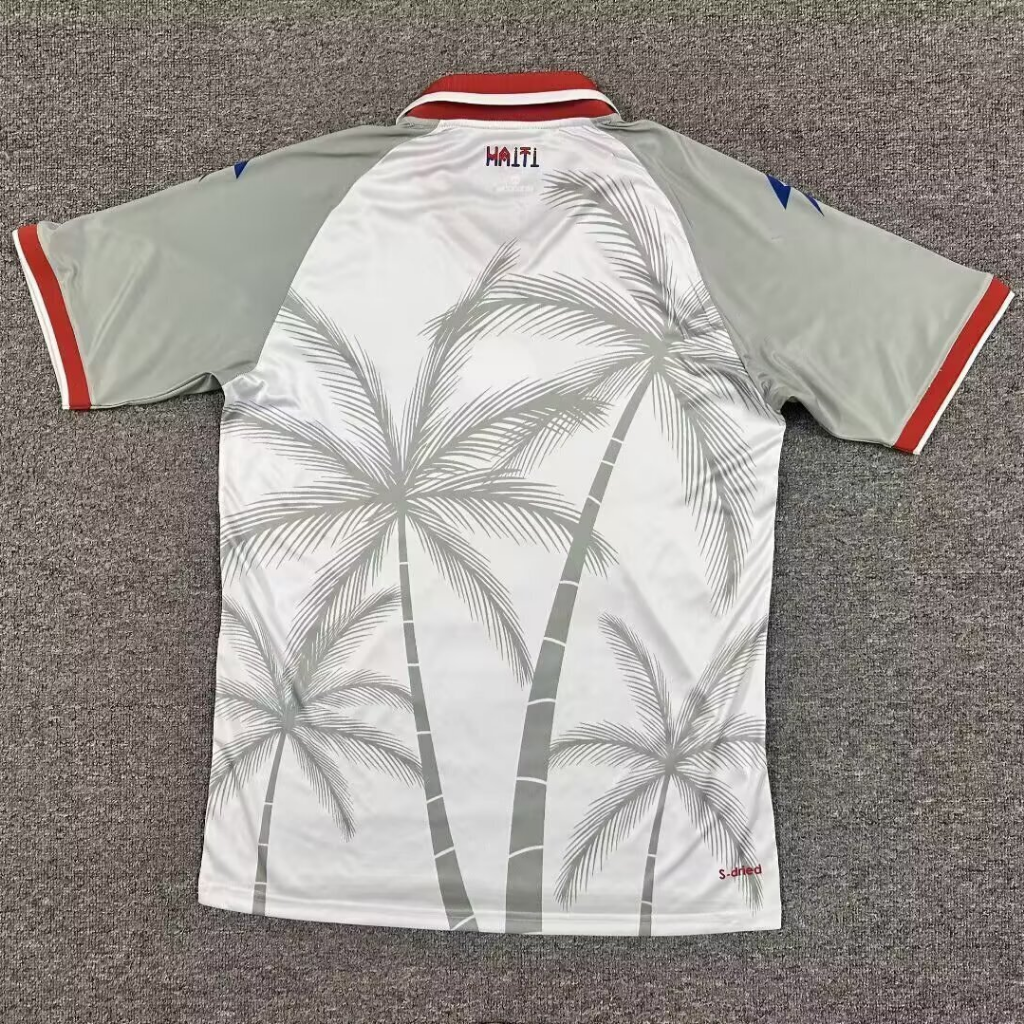 Haiti 26/27 World Cup Gray/Red Away Jersey